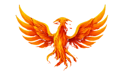 Phoenix Web Studio